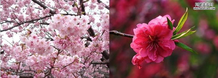 qq 抓大放小，從粗到精