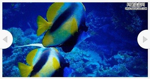 jquery slider tutorials