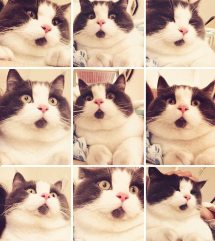 2015720180749341.jpg (440&times;494)