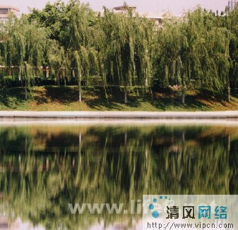 Fireworks效果之水波倒影[多圖]圖片2