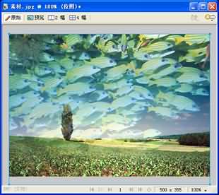 Fireworks CS3 蒙版基礎教程(2)