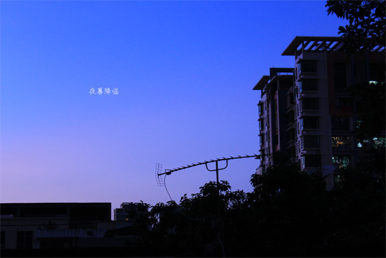 根據人、事、時、地、物設定SEO、推廣規劃 人性化展開推廣