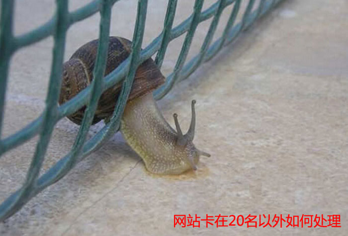 20名之外的網站進百度首頁的&ldquo;推動寶典&rdquo;