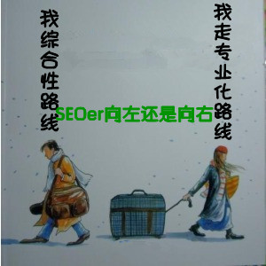 SEO人才到底應該走向專業化還是綜合化 